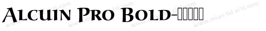Alcuin Pro Bold字体转换